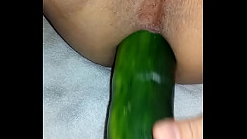 thick and long cucumber