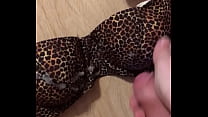 Sperme sur le soutien-gorge léopard sexy de ma belle-mère