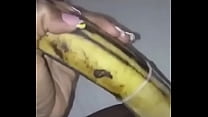 Vagina gegen Bananen-Elengi