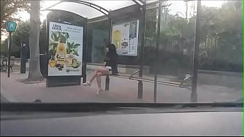 perra en una parada de bus