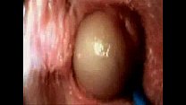 sexo vaginal interno