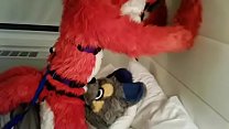 Wolf gives Fox Fellatio