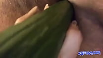 Hot chubby masturbating with cucumber