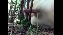 Masturbarse en el bosque17