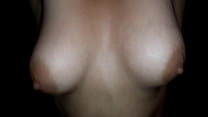 Chilean Tits