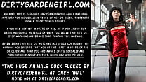 Two huge cock fucked by Dirtygardengirl at once in he anal prolapse hole