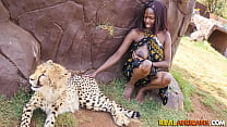 Sedile posteriore scopa un selvaggio safari africano