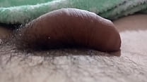 Hairy penis Rich cock