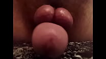 Pet-Fuchsia CD Salvador BA  - I Am On Xvideos This Time! Enjoy My Ass, I Am All Yours!