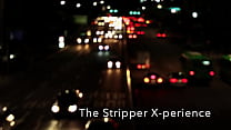 The Stripper X Perience