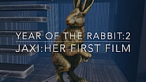 año del conejo 2