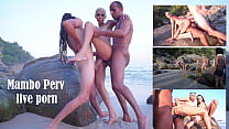 Симпатичную бразильянку Heloa Green трахнули на глазах у более чем 60 человек на пляже (DAP, DP, Анал, Публичный секс, Монструозный член, BBC, DAP на пляже. Неотредактированное, Raw, вуайерист) OB237