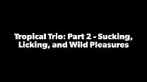 Tropicalpussy - обновление № 27 - Тропическое трио: Часть 2 - Сосание, лизание и дикие удовольствия - 3 января 2024 г.