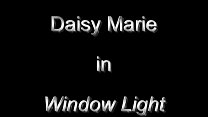 Daisy Marie Window Light